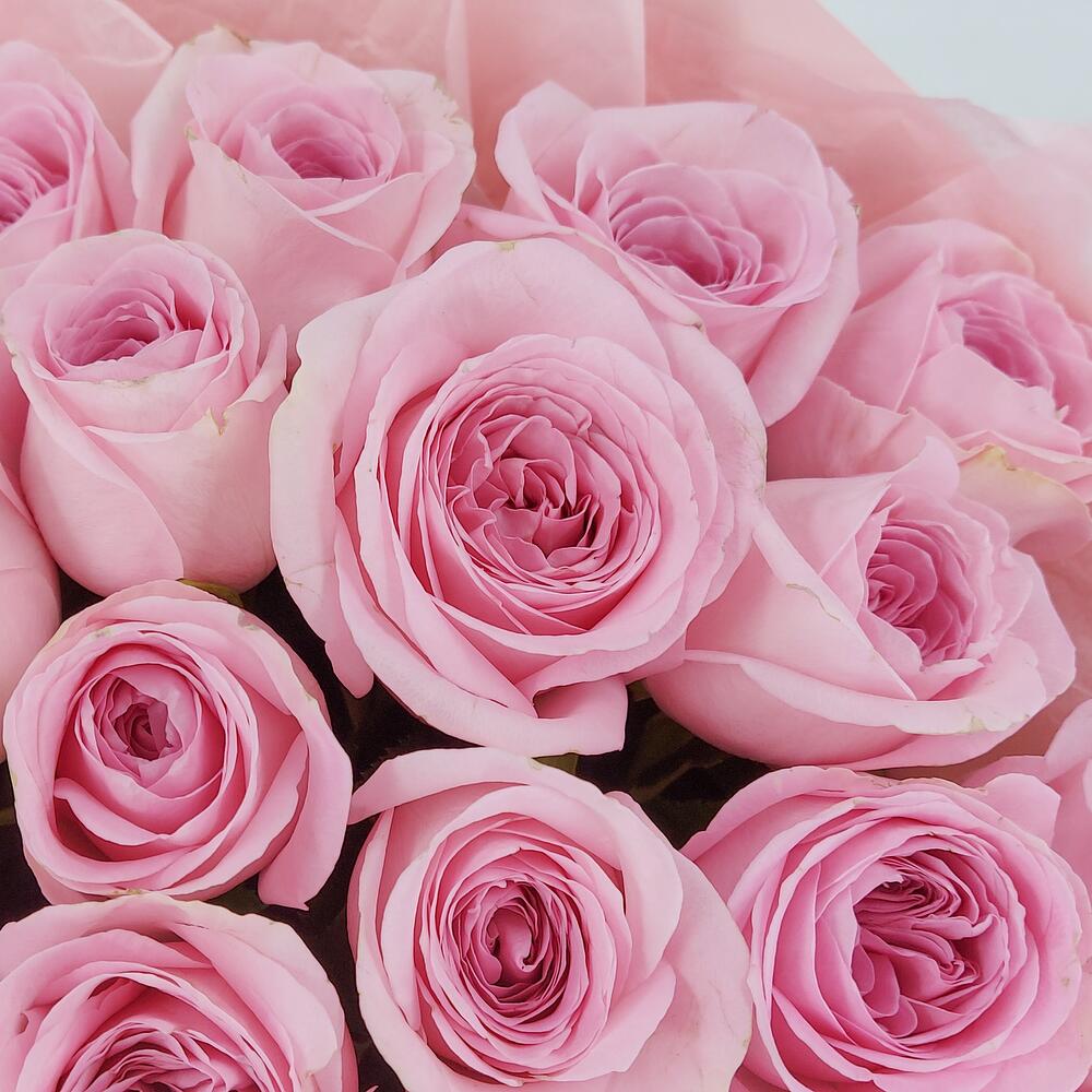 Букет из нежно-розовых роз – элегантность в каждом лепестке Мещовск Калужская область