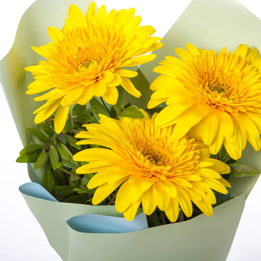 Яркий букет из 3 жёлтых гербер – частичка солнечного света Мещовск Калужская область